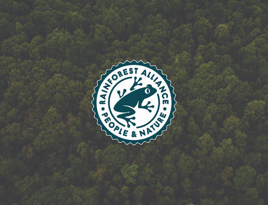Maya Lumber & Rainforest Alliance: Charting a New Course in Sustainable Forestry
